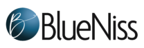 Blueniss Strategy Logo