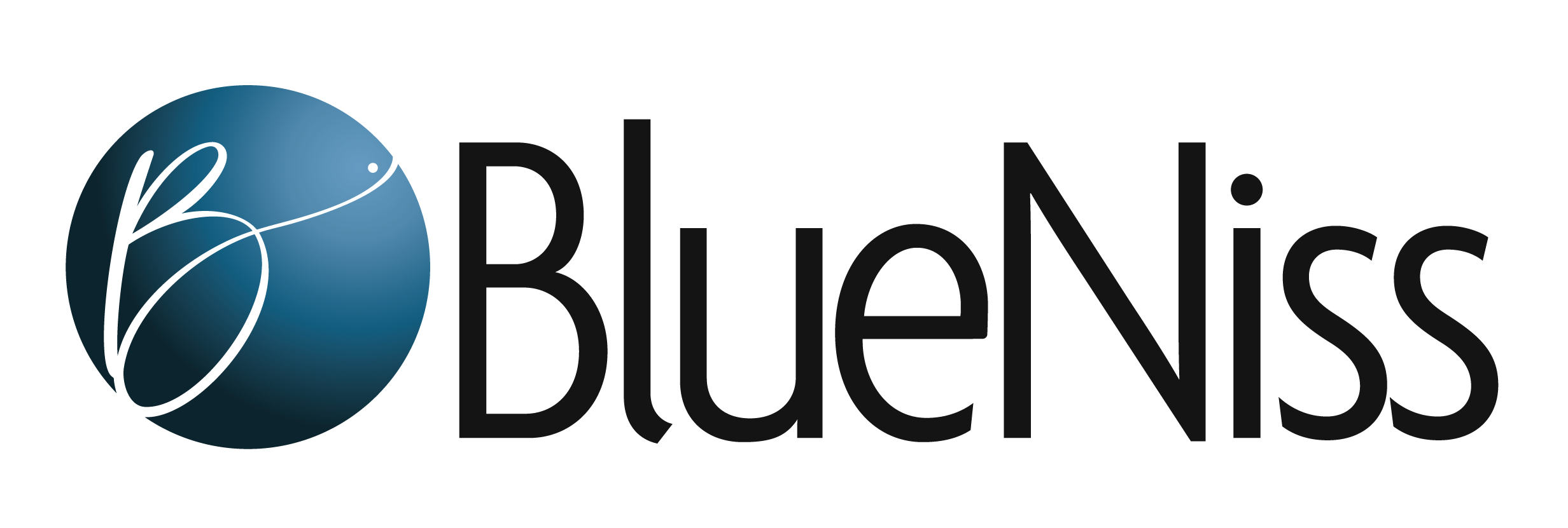 Blueniss Strategy Logo